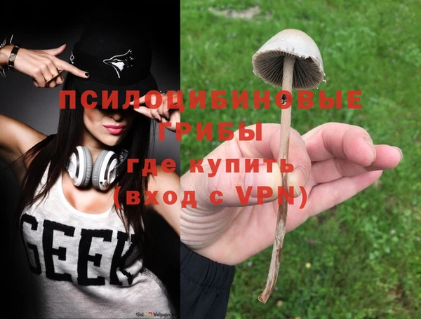 первитин Горняк