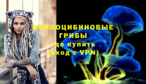 первитин Горняк