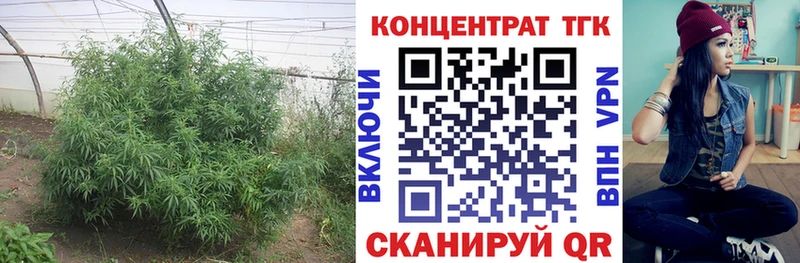 OMG ТОР  Березники  ТГК Wax  закладка 